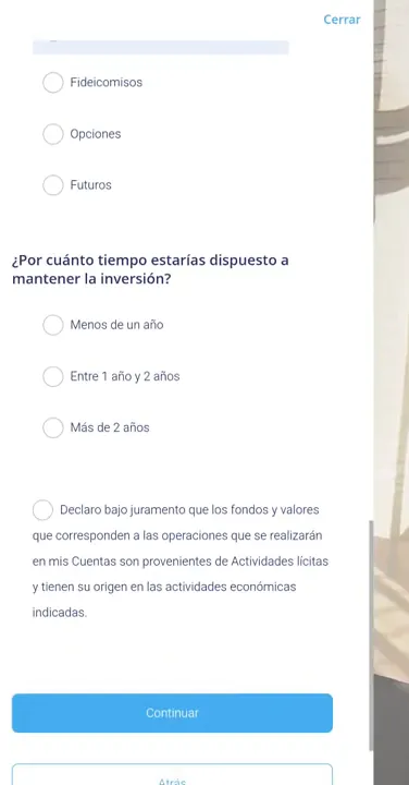 Plazo previsto y declaración jurada