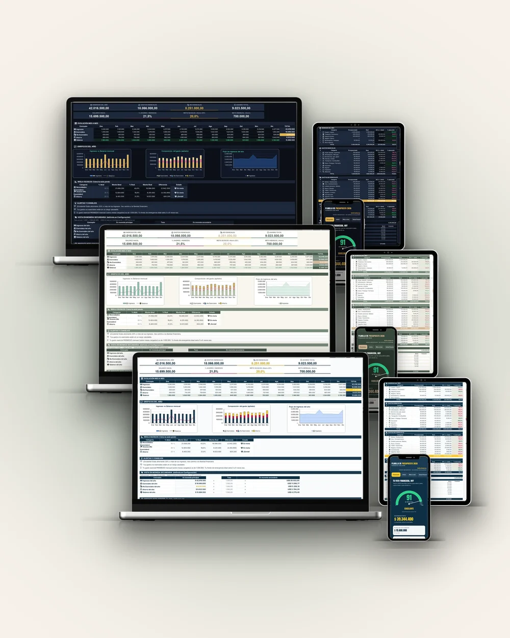 Planilla de Presupuesto 2026, excel y google sheets · 3 pieles, en pantalla